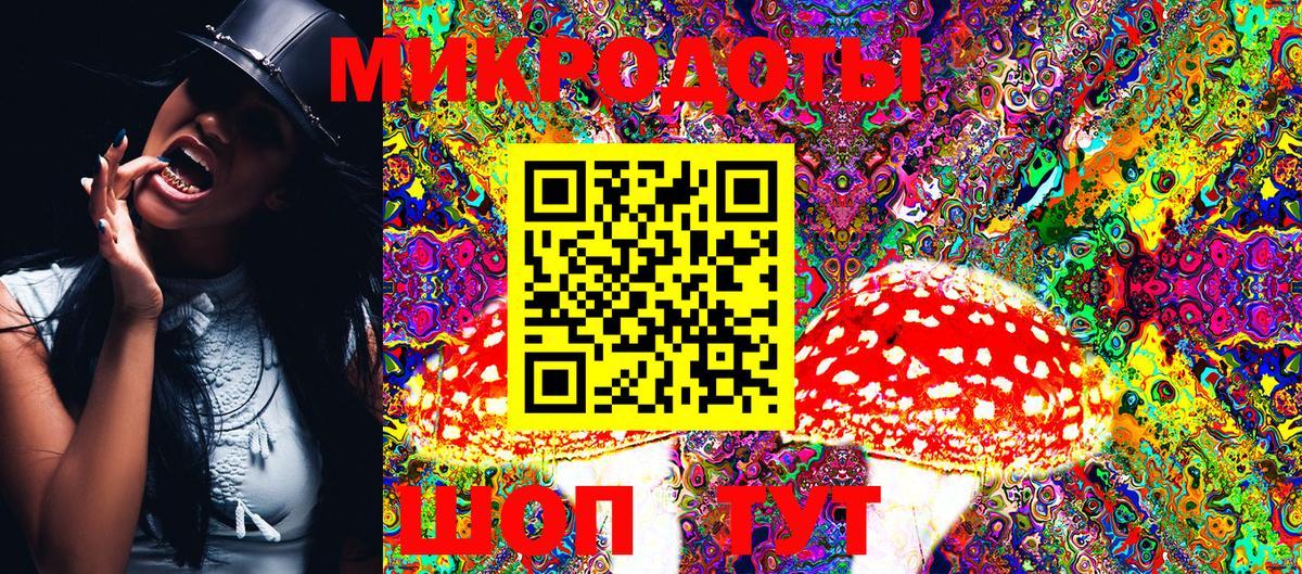 Кудымкар  Галлюциногенные грибы Psilocybine cubensis  Вход с VPN 